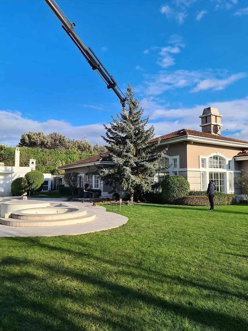 Villa ve site peyzaj uygulaması 14